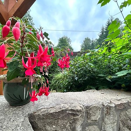 Zielona Roza Villa Wambierzyce Bagian luar foto