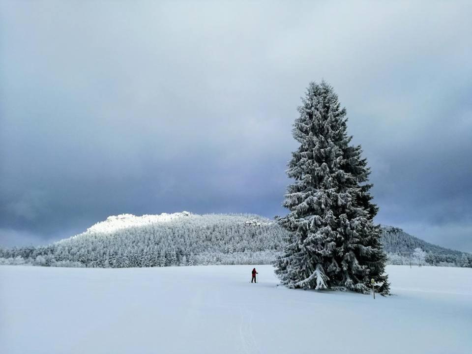 Zielona Roza Villa Wambierzyce Bagian luar foto