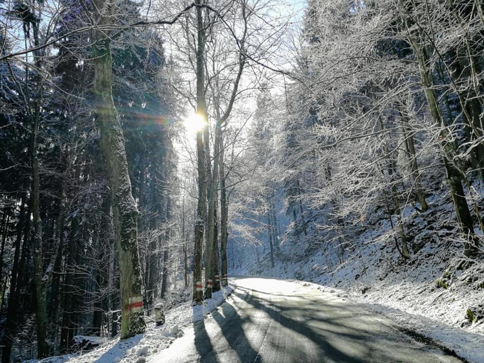 Zielona Roza Villa Wambierzyce Bagian luar foto
