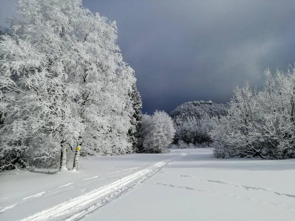 Zielona Roza Villa Wambierzyce Bagian luar foto