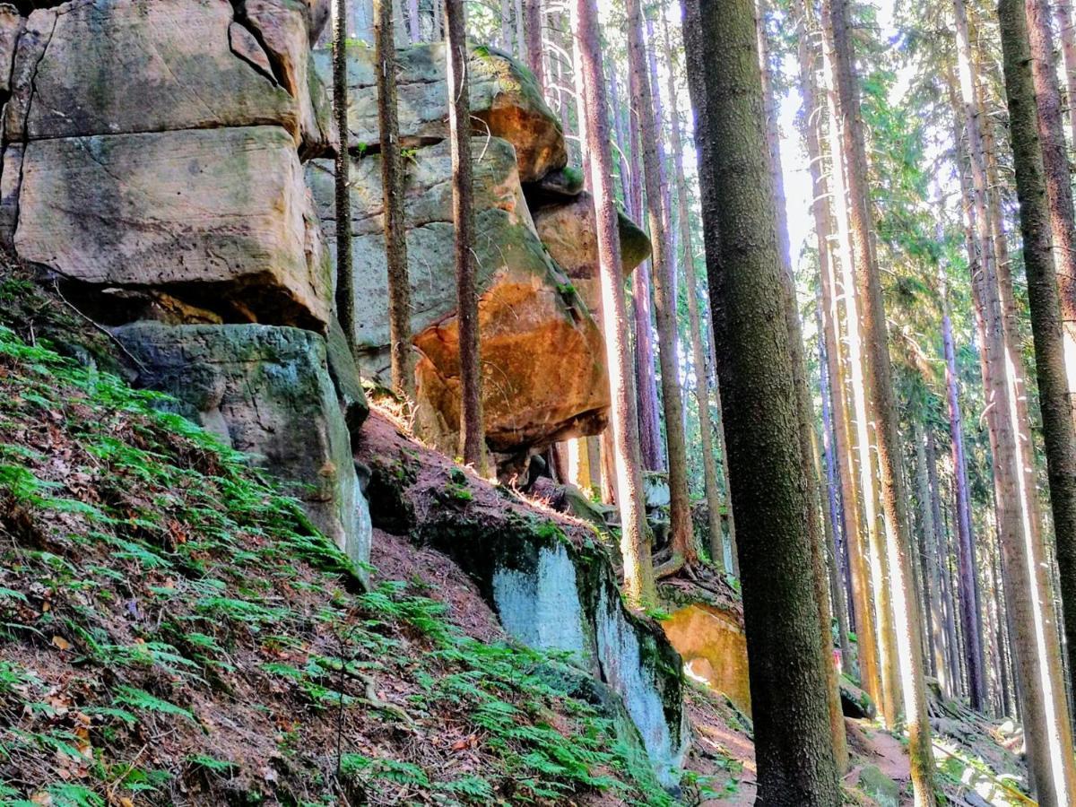 Zielona Roza Villa Wambierzyce Bagian luar foto