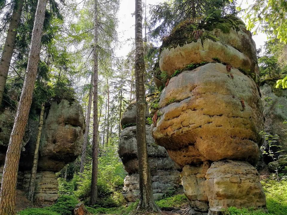 Zielona Roza Villa Wambierzyce Bagian luar foto