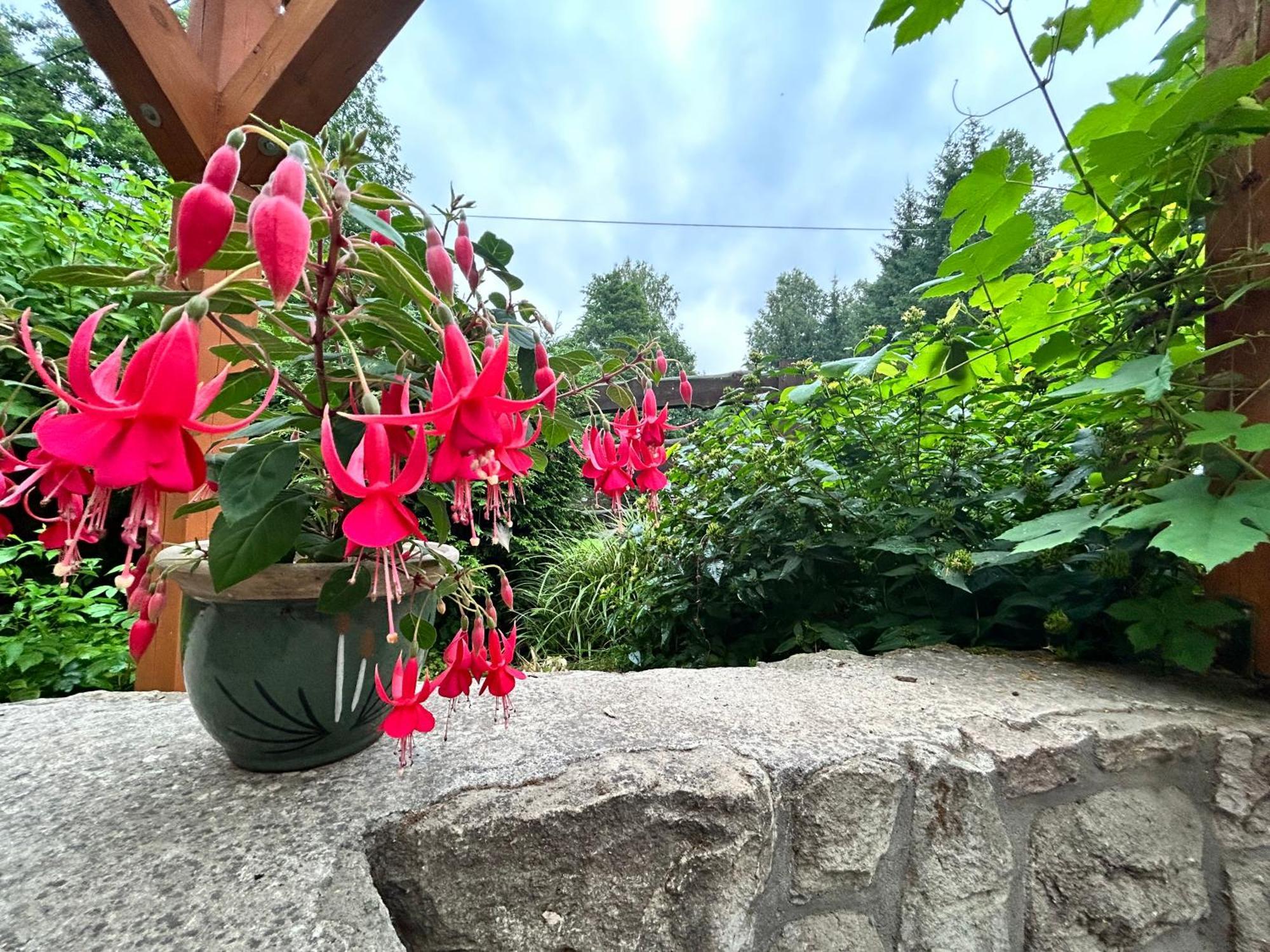 Zielona Roza Villa Wambierzyce Bagian luar foto
